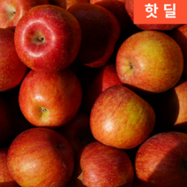 하루 꿀사과 부사 애기 한입 10kg 10키로 1박스 정품 소과 (38-45과)