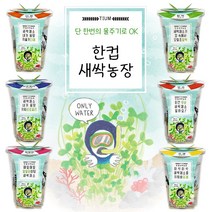 한컵새싹농장 씨앗키우기 6종 / 모종키우기 체험학습재료 원예체험 꽃, 유채