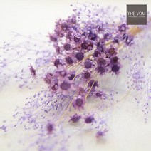 THE VOM 스타플라워와 안개 꽃다발-프리저브드, 라벤더, 1개