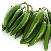 청량고추500g 꽈리 모닝 오이맛고추, 모닝아삭이고추(풋고추), 500g