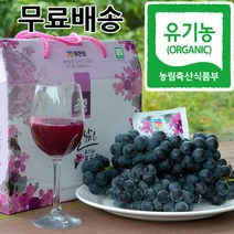 하늘닮은 유기농 포도즙, 100ml, 30