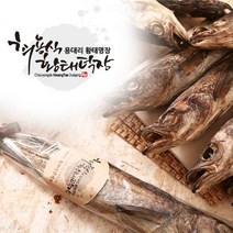 100%국내 자연건조 용대리 최용식 명품황태 가정용/선물세트, 가정용통황태(대:45~48cm), 10마리