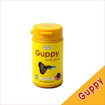 피알피쉬 구피전용 프리미엄 사료, 1개, 50g, 1개