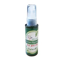 호산 편백 신발 실내 차량 냄새 제거 탈취제, 1개, 50g