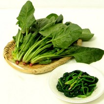 [푸르젠] 장흥 정연초님의 손질된 노지 시금치, 1개, 4kg