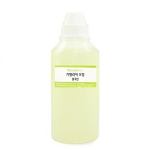 [더위치] 카멜리아오일 500ml / 동백오일 / Camelia Oil / 이영애오일