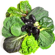 유기농 모듬 쌈채소 600g, 1박스