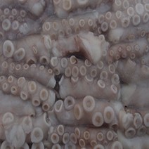 조은상사 절단낙지, 1개, 500g 절단낙지L