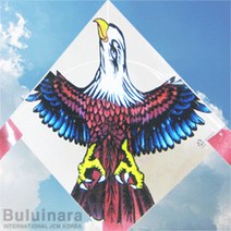 씨엠월드 비닐 독수리연 + 육각얼레 연날리기