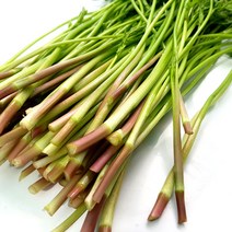 프레시잉 청도 한재 미나리, 1개, 1kg