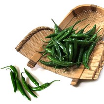 맛있게 매운 청양고추 1kg 2kg 5kg, 1개, 청양고추(상) 2kg