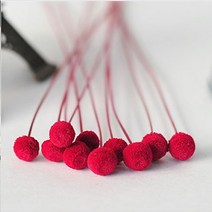 플라라 드라이플라워 프리저브드플라워 기획 모음, 15-34. 화이트 크리스펌