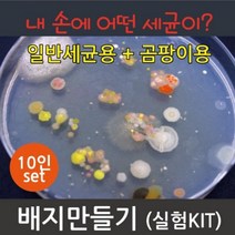 사이언샵 (사이언샵)배지만들기2(일반세균+곰팡이)10인, 상세설명참조