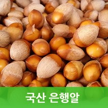 국내산 은행알1kg 깐은행알 싱싱지오, 선택하세요