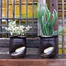 자연의초대 낙엽2종