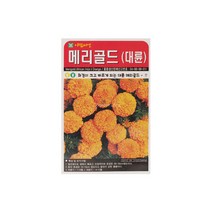 메리골드(대륜)씨앗 10립, 1개