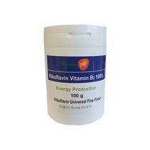 비타민365 비타민B2 리보플라빈, 100g, 1통