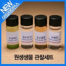 [아임사이언스]원생생물 관찰세트