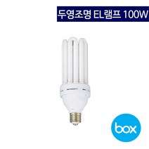 두영조명 EL램프 삼파장 100W 주광색 E39 1박스 12개, 주광색(1박스12개)