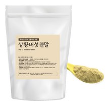 국산 상황버섯분말 50g 장수상황버섯, 1개
