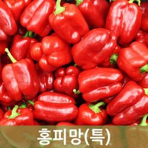두리반농산 홍피망(특) 10kg, 1박스
