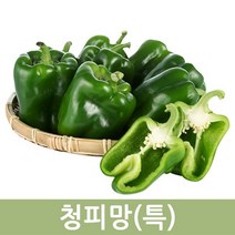 국산 청피망(특) 10kg, 1박스