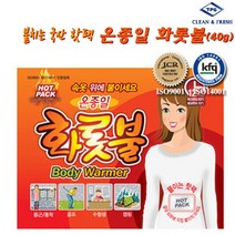 티피지 온종일 화롯불 붙이는 파스핫팩40g.혹한기 12시간지속 핫팩, 1개