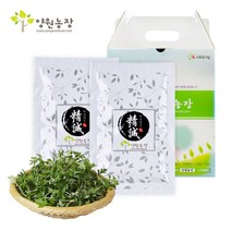 양원농장 인진쑥즙 기타건강즙, 80ml, 50포