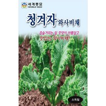 청겨자 겨자씨앗 겨자 씨앗 ( mustard seed 2000알 )