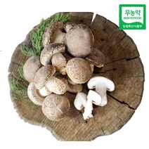 친환경팔도 무농약 송이향 송화고버섯 500g 1kg, 1박스, (실속형)500g