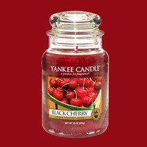 양키캔들 라지자, 블랙체리, 1개