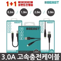 샵비스트 3.0A 고속충전케이블 1+1, 1개, 01-05.샵비 8핀+C타입(20cm)