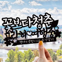 e베이비랜드 케이크토퍼 주문제작 여행토퍼 환갑토퍼 생신 생일 프로포즈 등, ♥여행 케이크토퍼♥_TP.429_꽃청춘_블랙