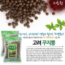 성보약초인삼사 고려꾸지뽕환골드 꾸지뽕환 서초원 300g 약4000정, 1개