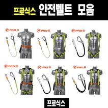 프로식스 안전벨트 안전그네 모음