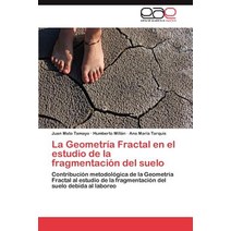 La Geometria Fractal En El Estudio de La Fragmentacion del Suelo Paperback, Eae Editorial Academia Espanola