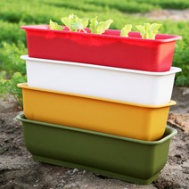 [가훼하우스] [다섯가지 컬러 화분만판매]담따텃밭화분(소 대), 담따텃밭화분_그린