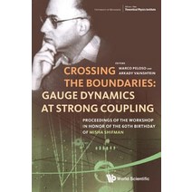 Crossing the Boundaries: Gauge Dynamics at Strong Coupling: Proceedings of the Workshop in Honor of th..., World Scientific Publishing Company