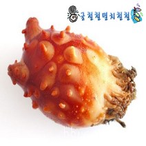 통영 피꼬막1kg 외 해산물고르기 당일조업 총알발송, 1개, 피멍게1kg
