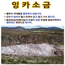 페루통상 잉카 굵은 소금 3kg 황토의 미네랄 간수 무공해 청정, 1개