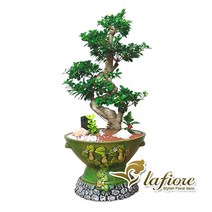 [전국당일3시간무료배송]가지마루펜다/공기정화식물/꽃배달서비스, 1개