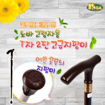 노바 2단 지팡이 고급형, 검정, 검정색