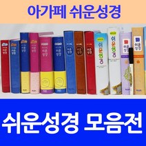 창조플러스몰 아가페 쉬운성경책 모음전(슬림 미니 일러스트 큰글 주일학교), 선택12_큰글쉬운성경_특중_단본_투톤와인