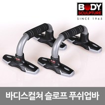 바디스컬쳐 기본 슬로프형 푸쉬업바