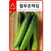 아시아종묘 오이씨앗 젤루존백침오이 (30립), 1개