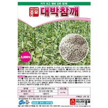 아시아종묘 참깨씨앗 (무코팅)대박참깨 (3000립)