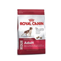 로얄캐닌 미디엄 어덜트 10kg, 1개