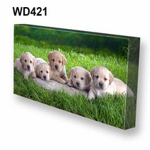 몽차 와이드 캔버스액자, WD421, 1개