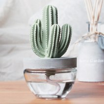 아로마코 선인장 디퓨저 100ml, 화이트플라워