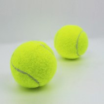 소프트 테니스공 마사지공 연습용공 강아지 장난감